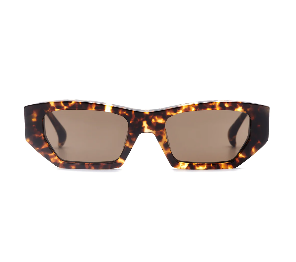 AM Eyewear Lipcer Shop AM Eyewear Online Che Eyewear